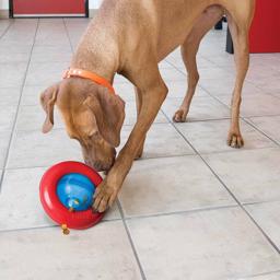 KONG Gyro Roll & Flip aktivitetsleksak för hundar